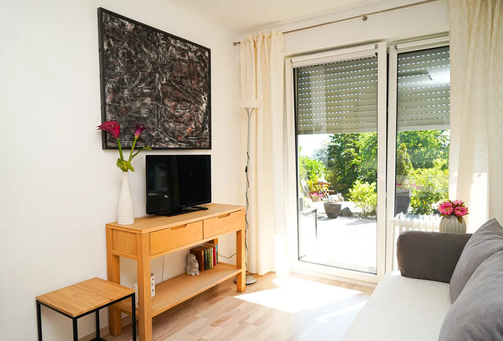 Living area of the apartment.